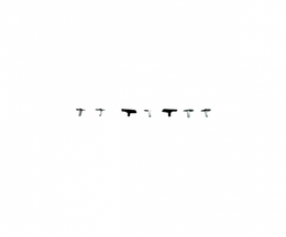 82112 | Mack top light set