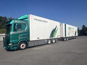 84985 | Palms