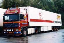 87650 | Guldgager - Jern Henrik