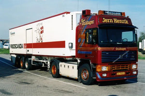 87650 | Guldgager - Jern Henrik