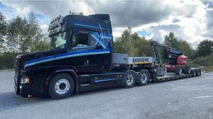 89263 | Skoveng