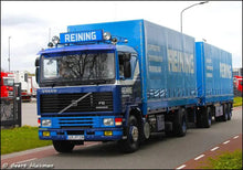 91577 | Reining