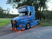 92644 | Robin Walter