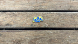 VP | 25th Anniversary Pin