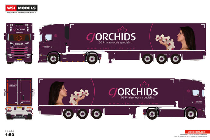 01-4910 | CJ Orchids