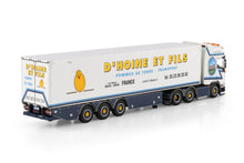 01-4843 | D'Hoine