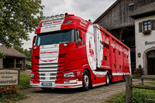 01-5521 | Thomas Werner